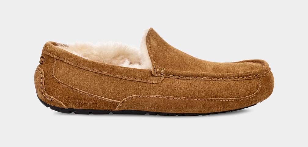 Ugg Ascot Slipper Chestnut
