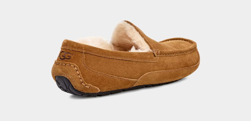 Ugg Ascot Slipper Chestnut