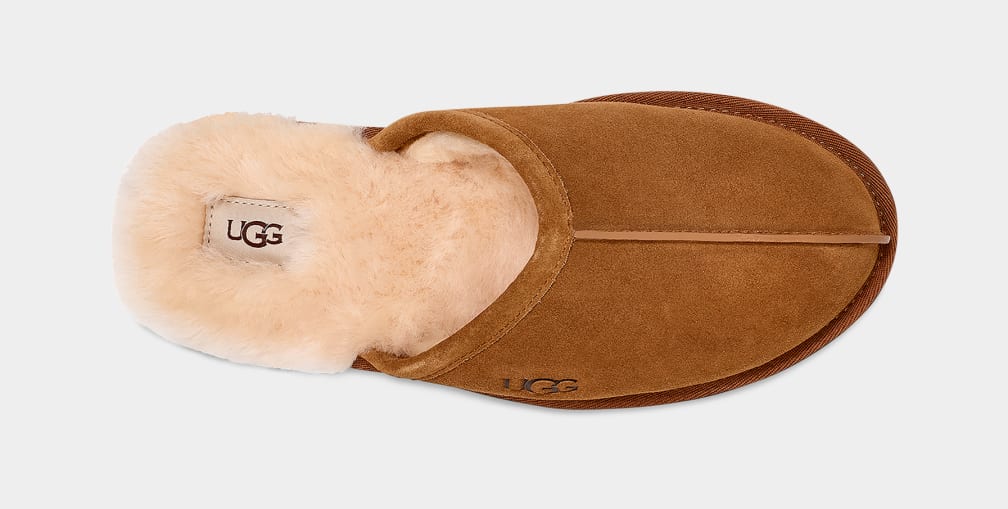 Ugg Scuff Slip-On Chestnut