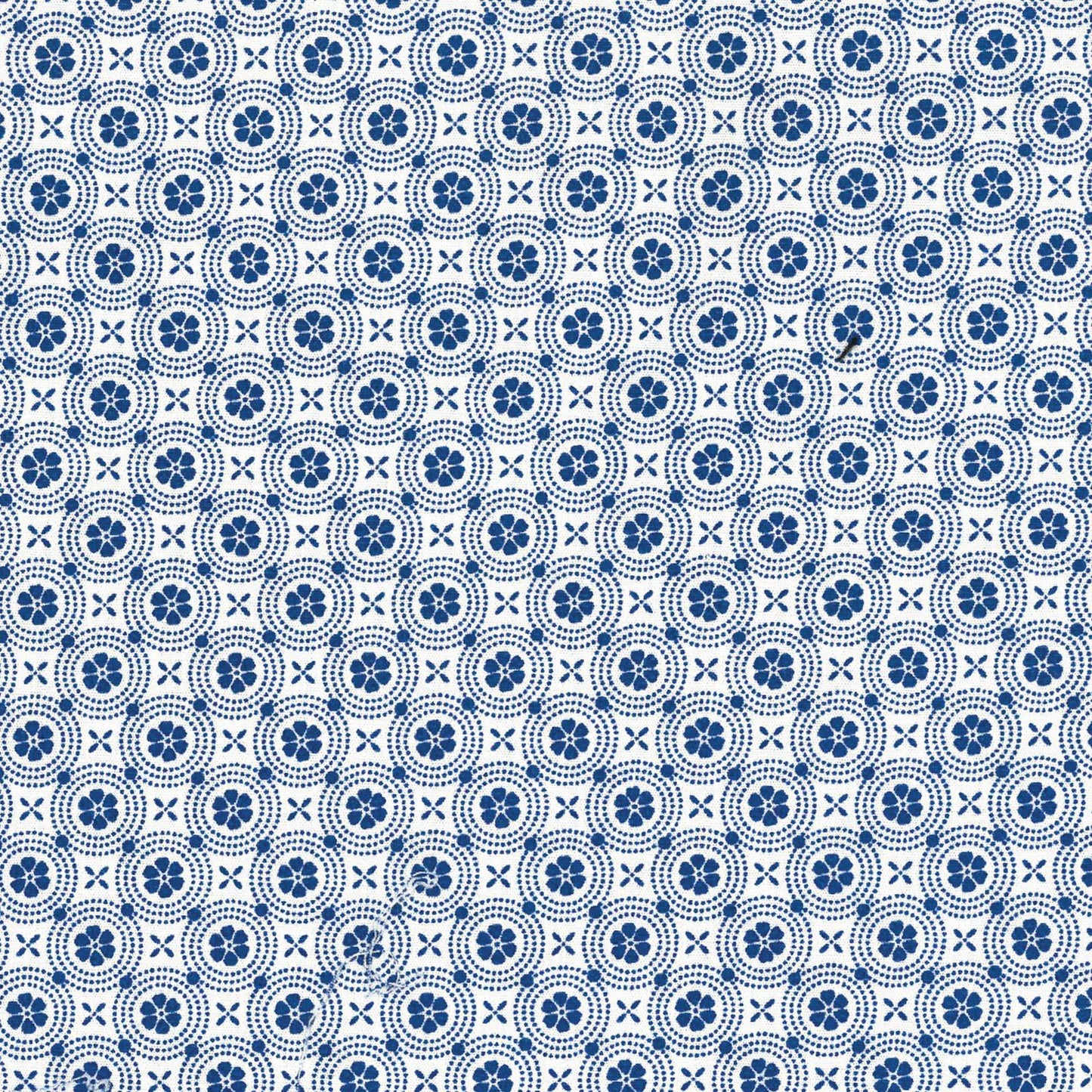 George Strait Cornflower