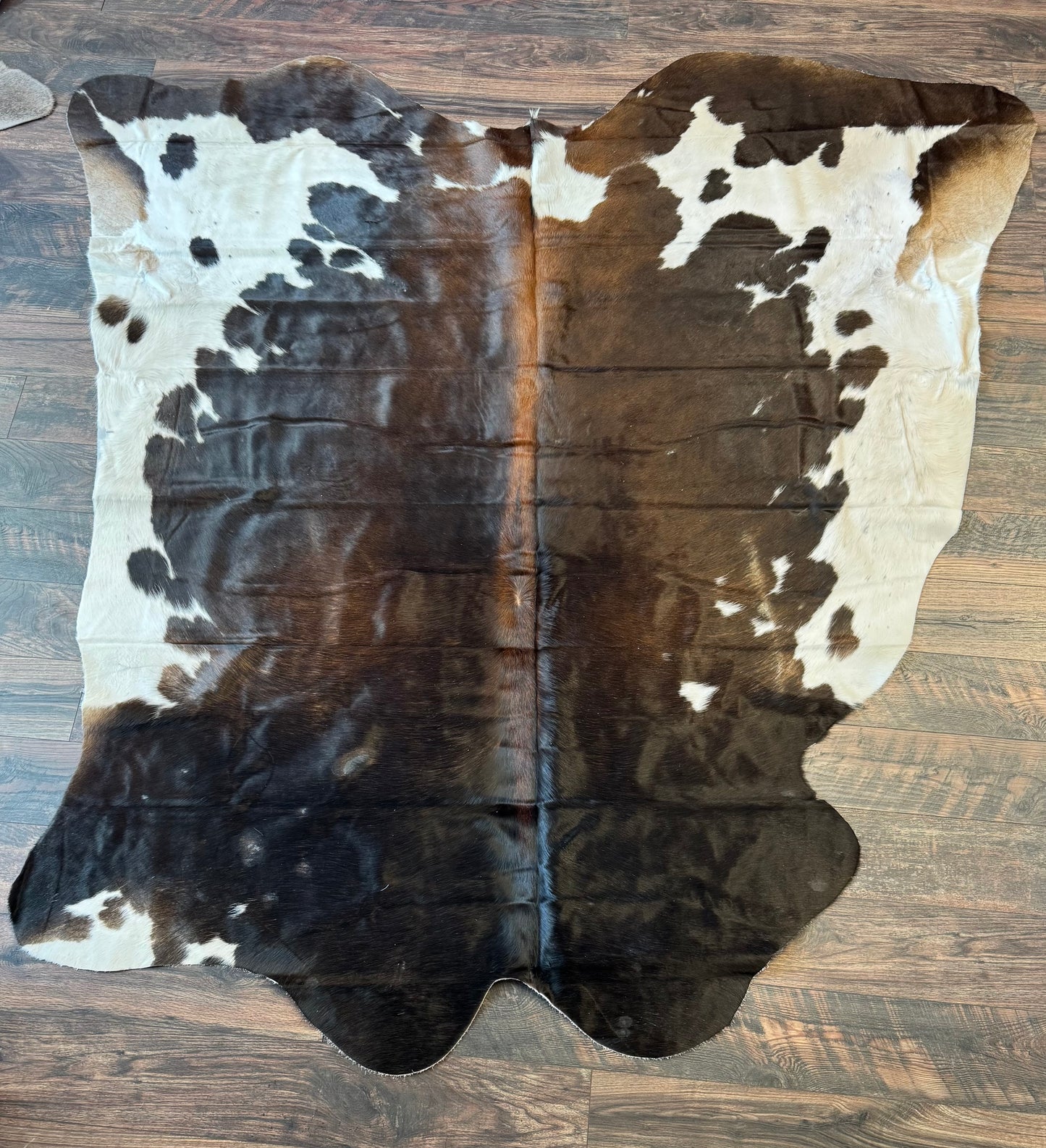 Natural Cowhide Rug #6