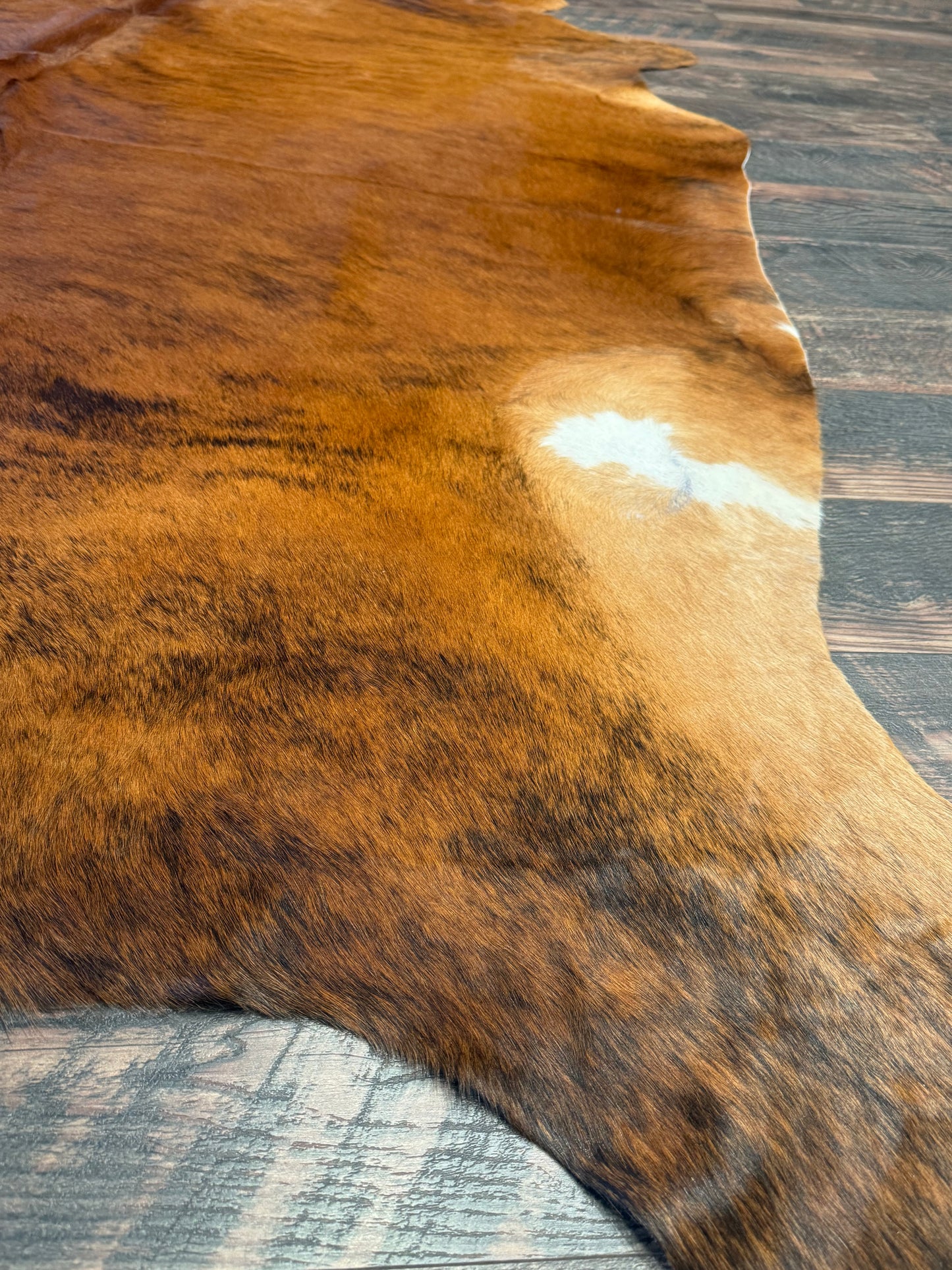 Pardi Cowhide Rug