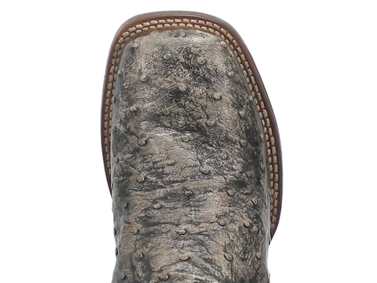 Dillinger Black Dan Post Ostrich Boots