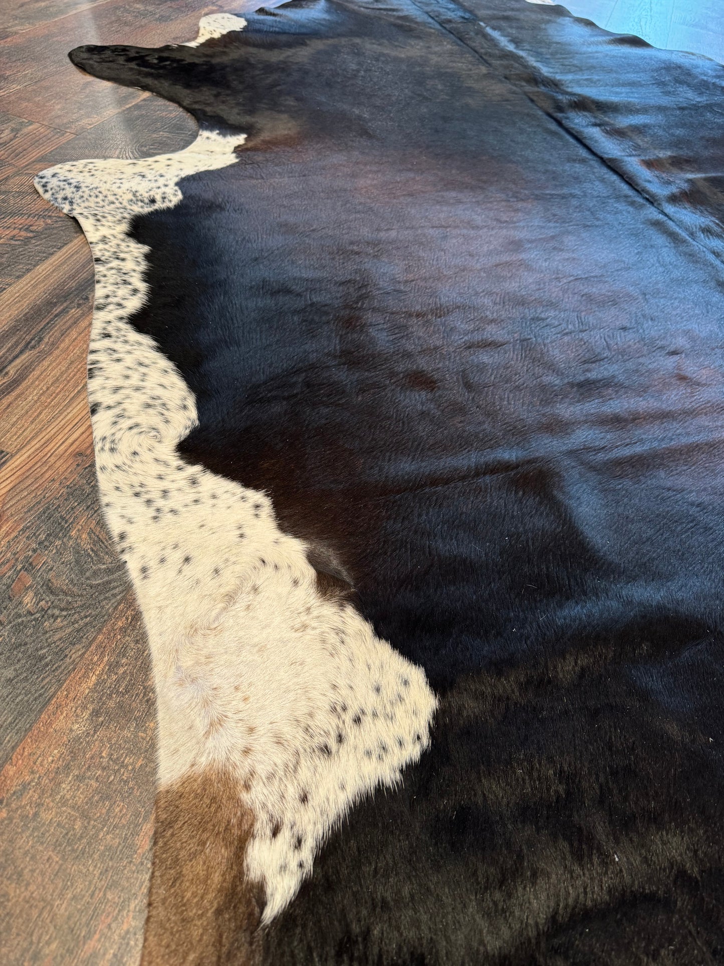 Cash Cowhide Rug