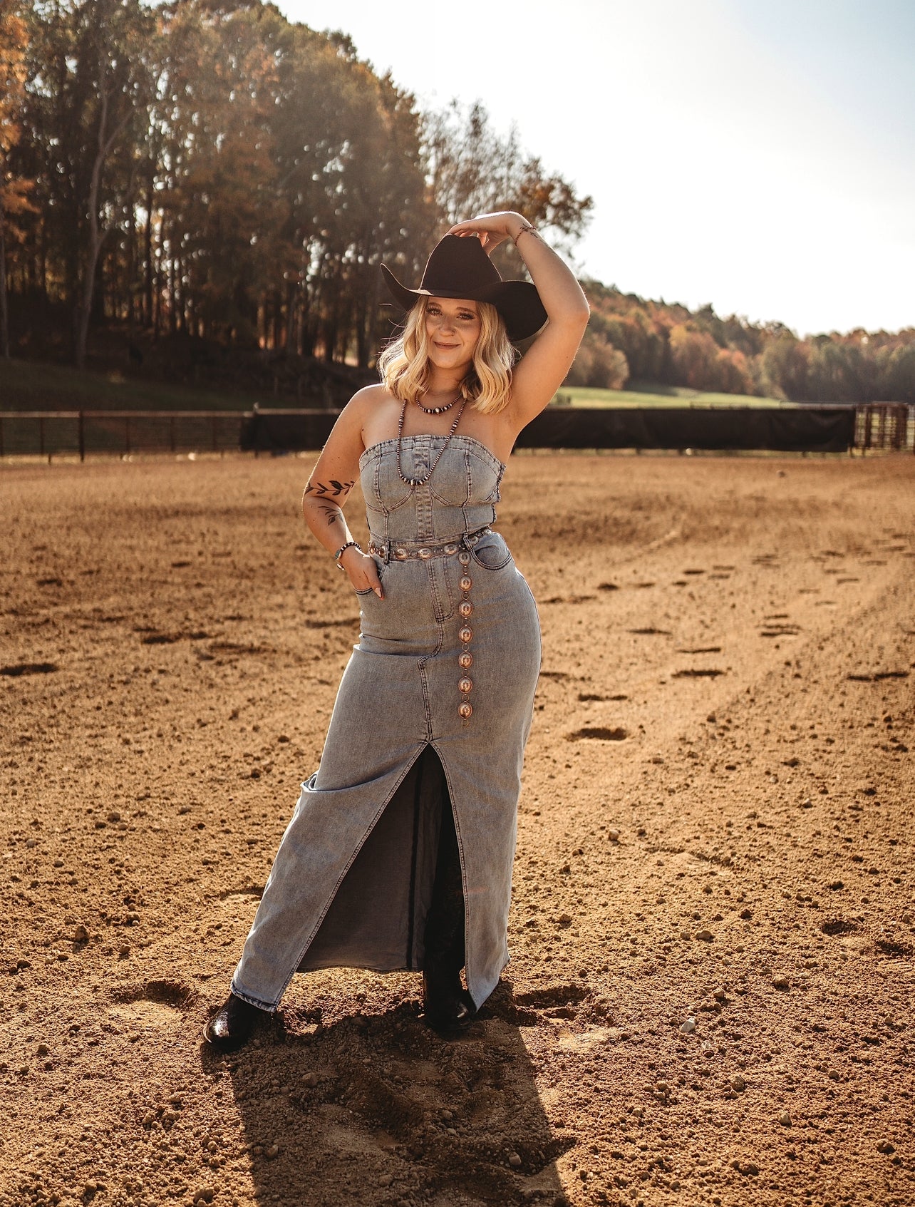 Hayes Denim Dress