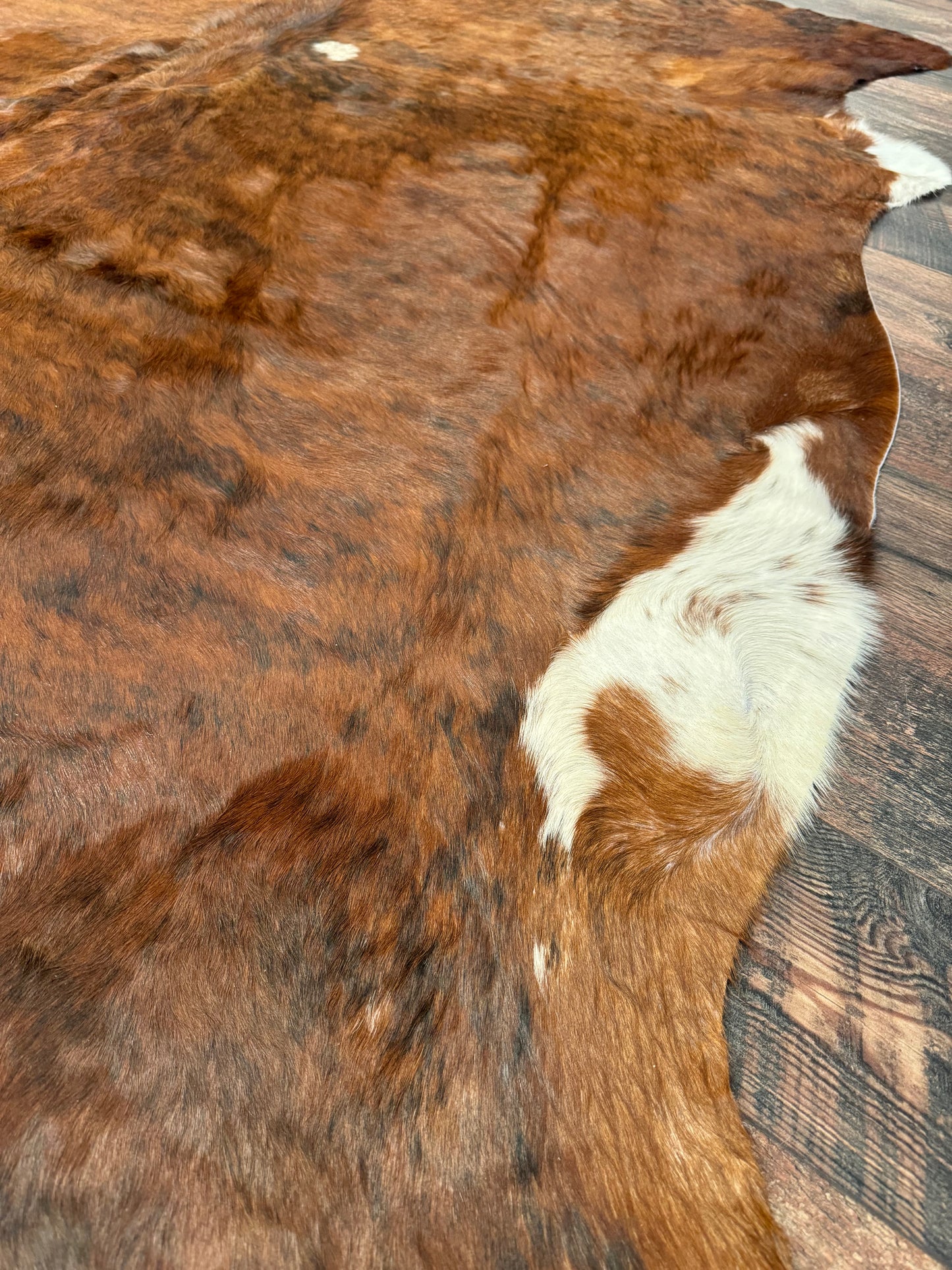 Wetzel Cowhide Rug