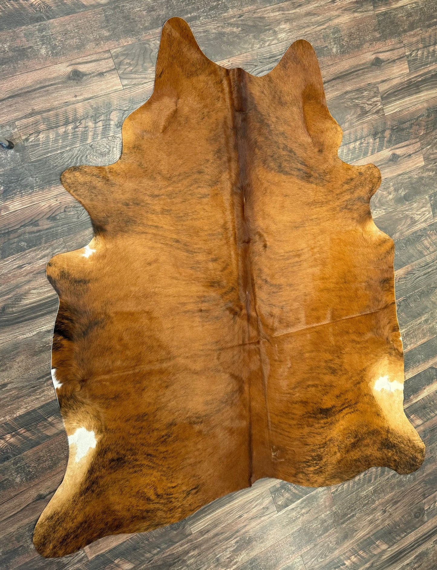 Pardi Cowhide Rug