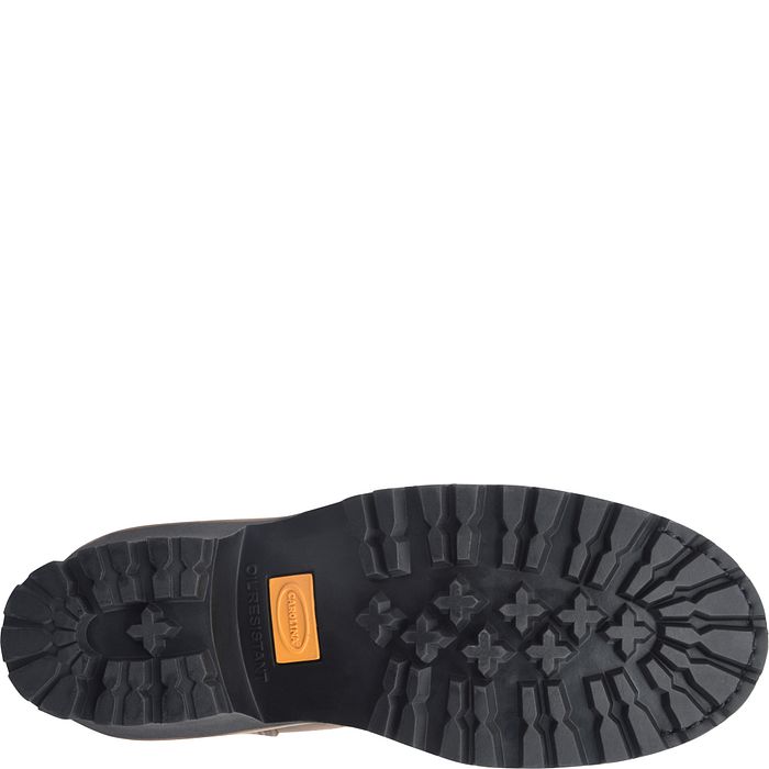 Carolina Men's Spruce 8'' Logger