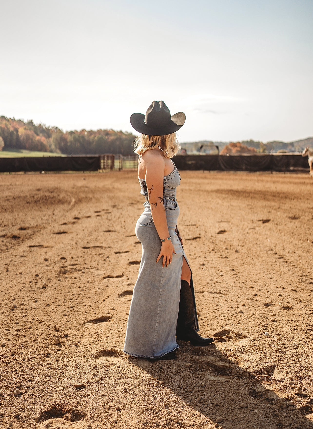 Hayes Denim Dress