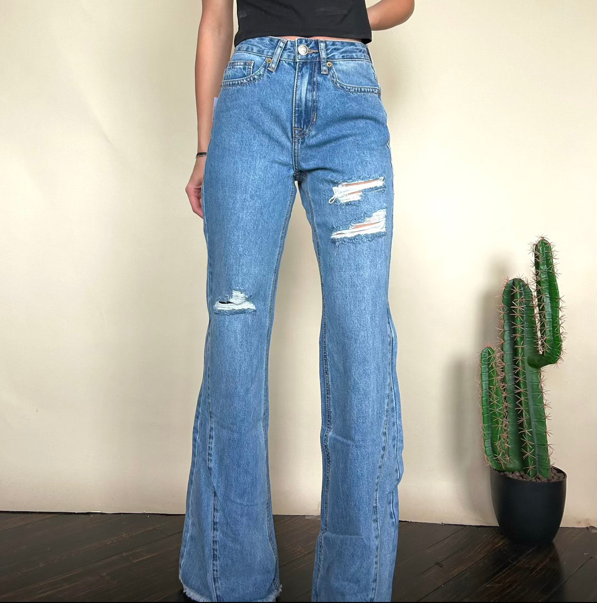 Final Sale ✨Martina Palazzo distressed Women's Jeans