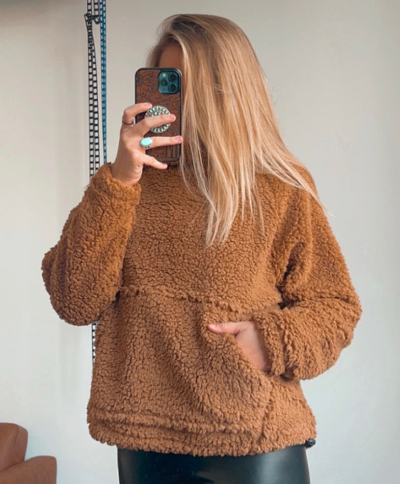 Teddy Bear Brown Polar Fleece