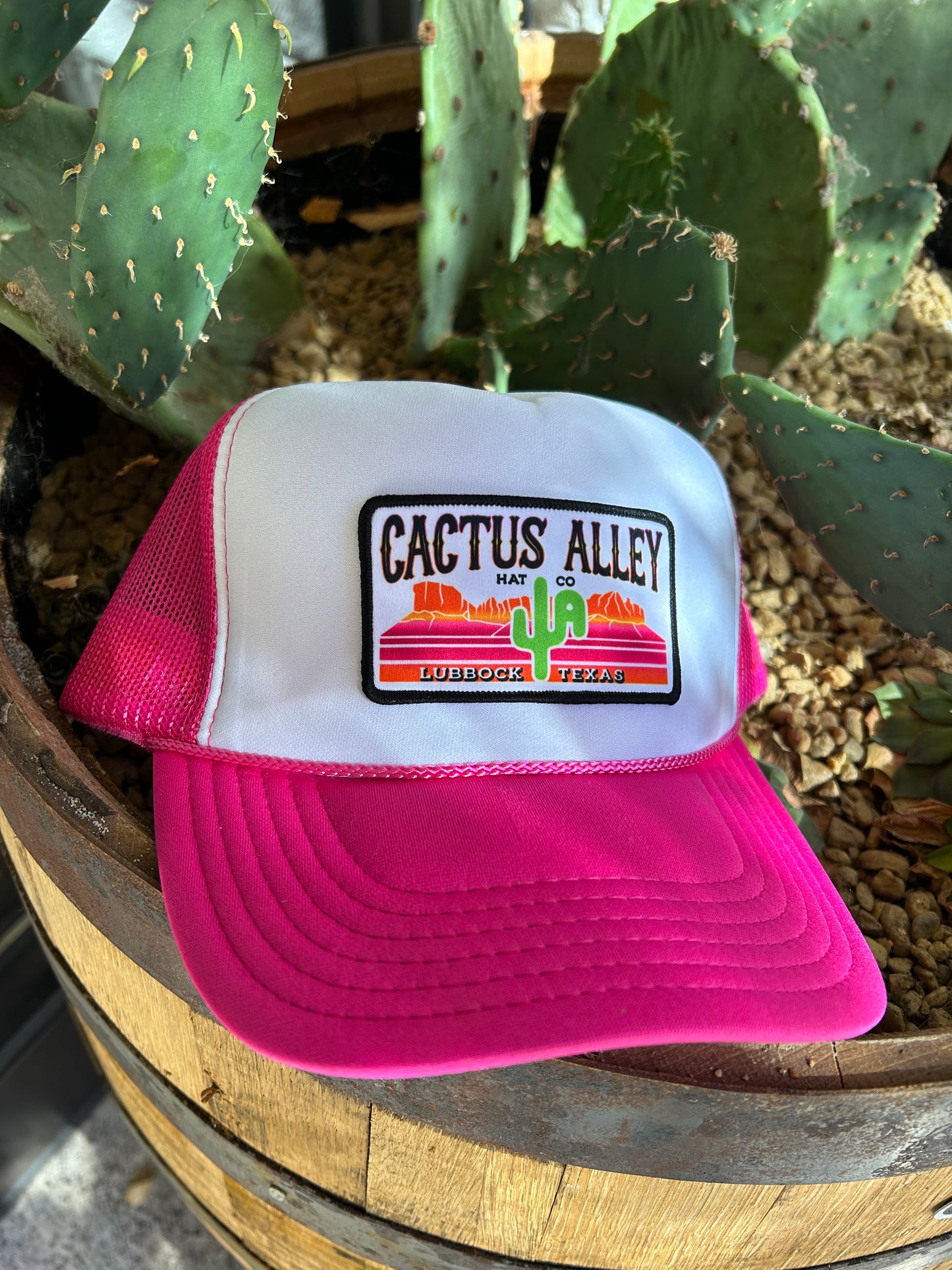 Cactus Alley Painted Pink Dessert