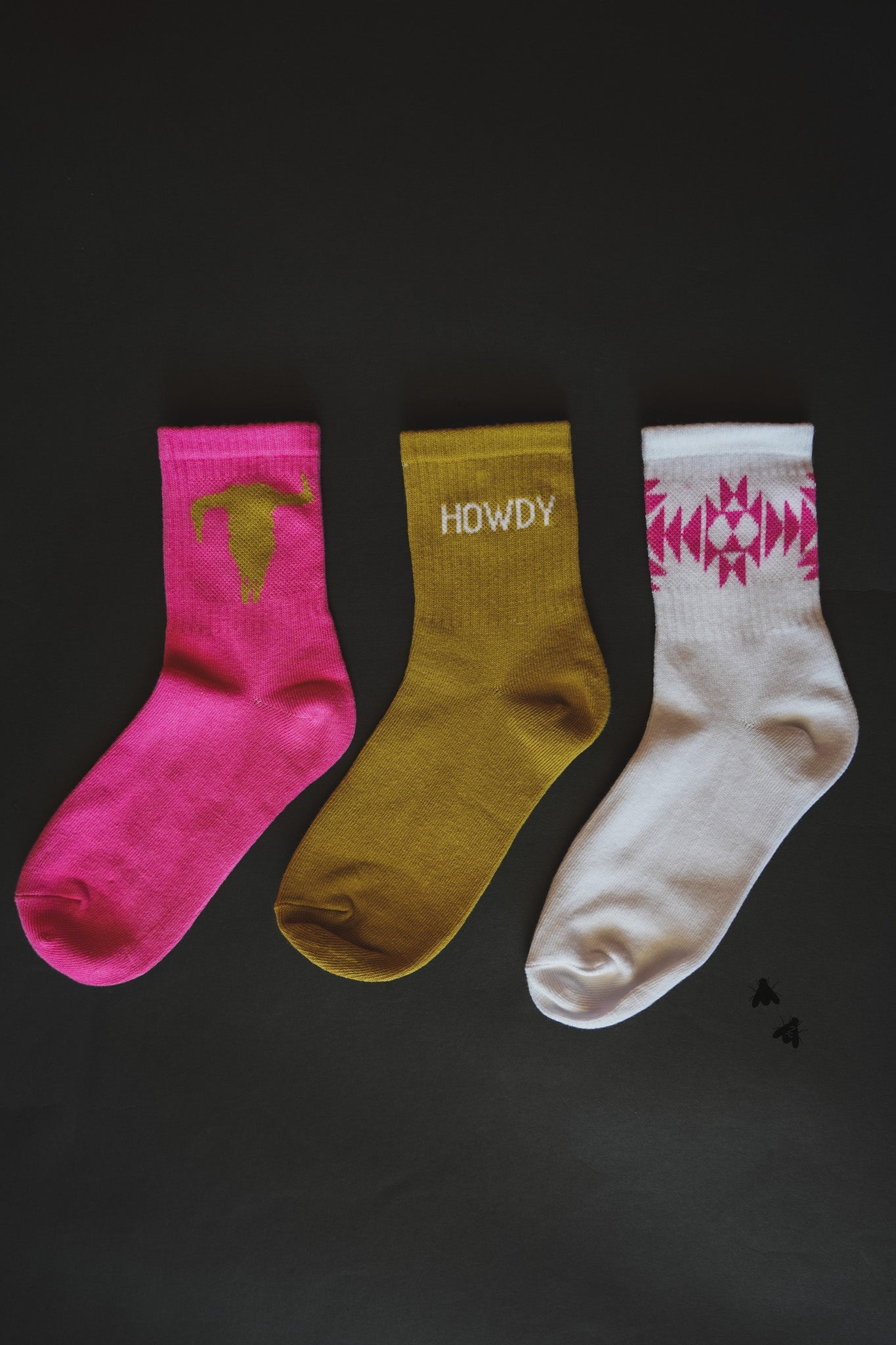 Sock Em Silly Skull Agave