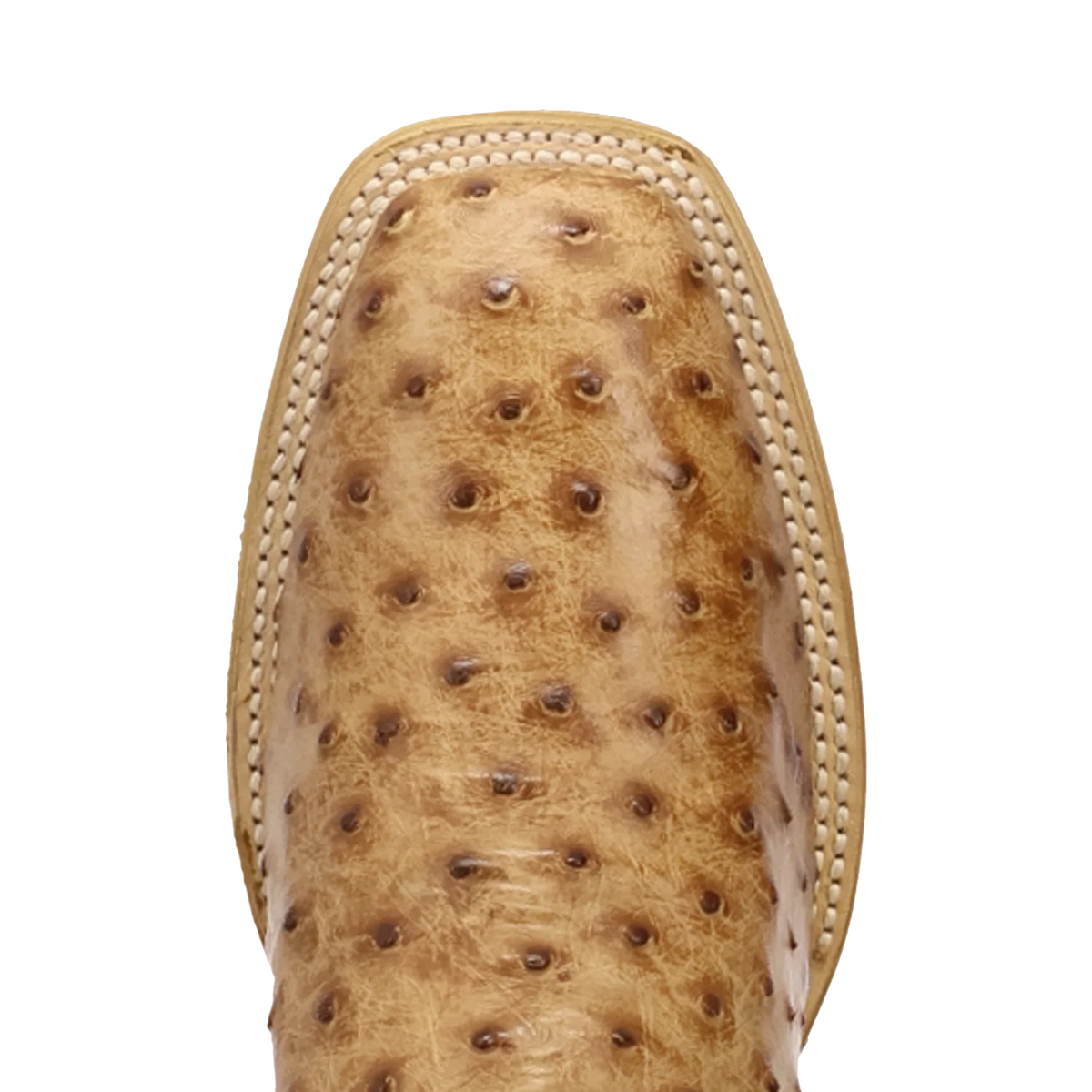 Dan Post Livingston Boot