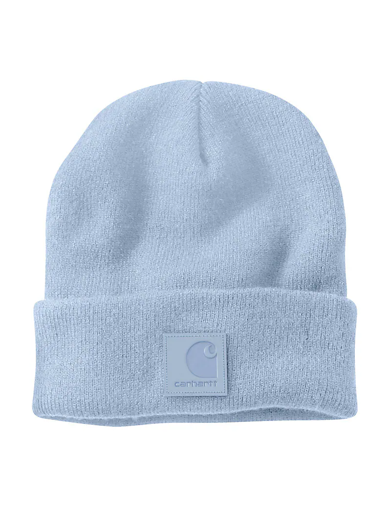 Carhartt hat blue sales