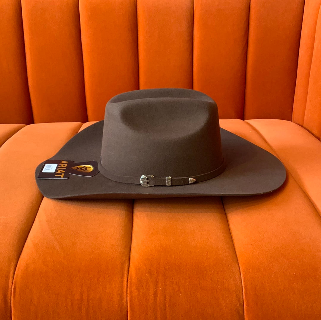 ARIAT Brown Felt
