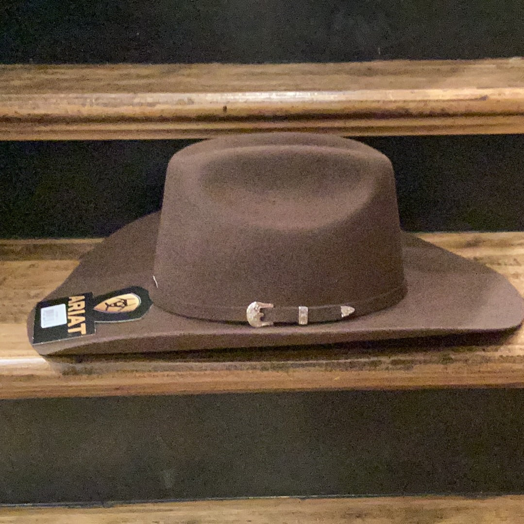 ARIAT YOUTH Brown Felt