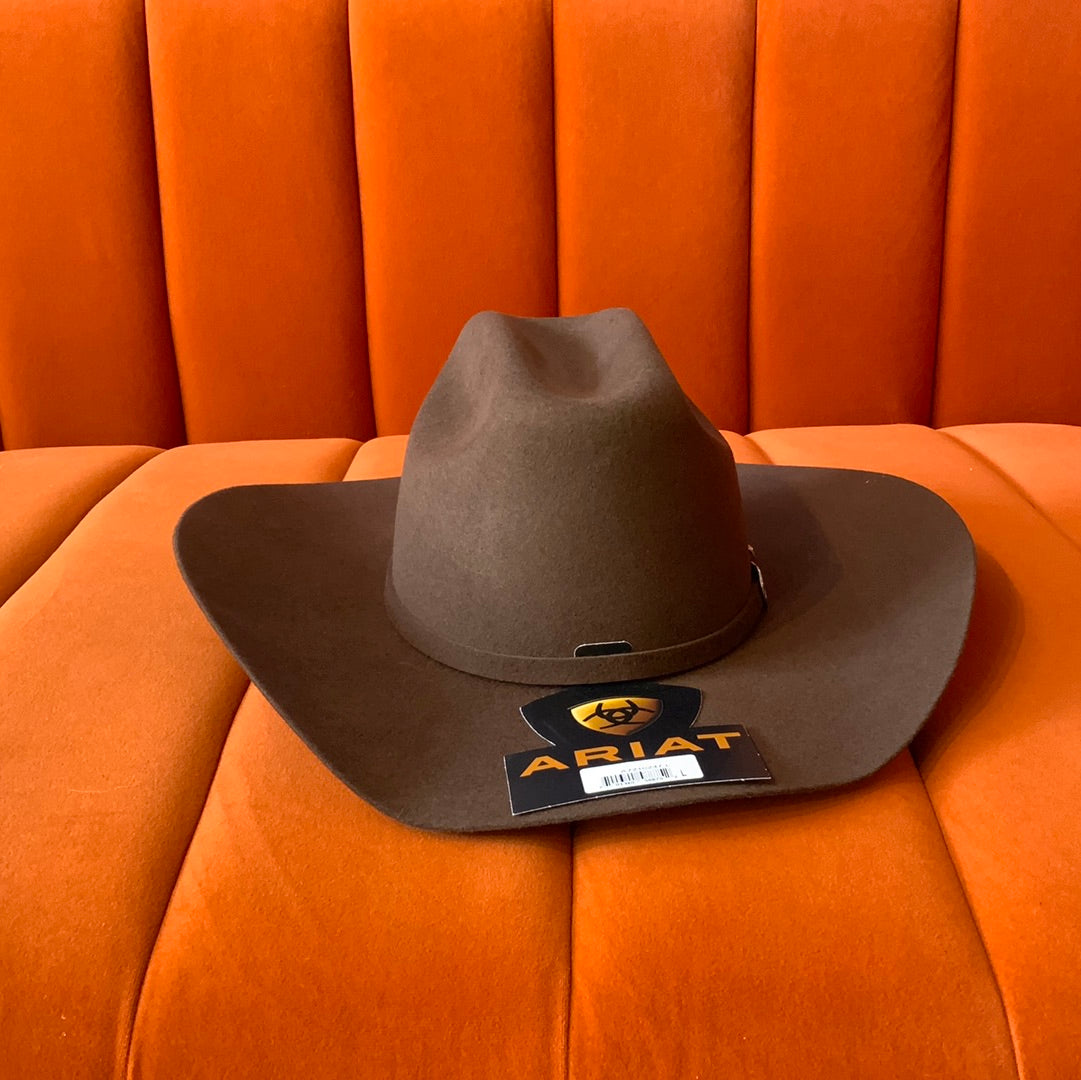 ARIAT Brown Felt