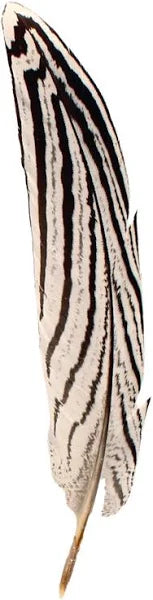 Hat Trim White Colored with Brown Feather