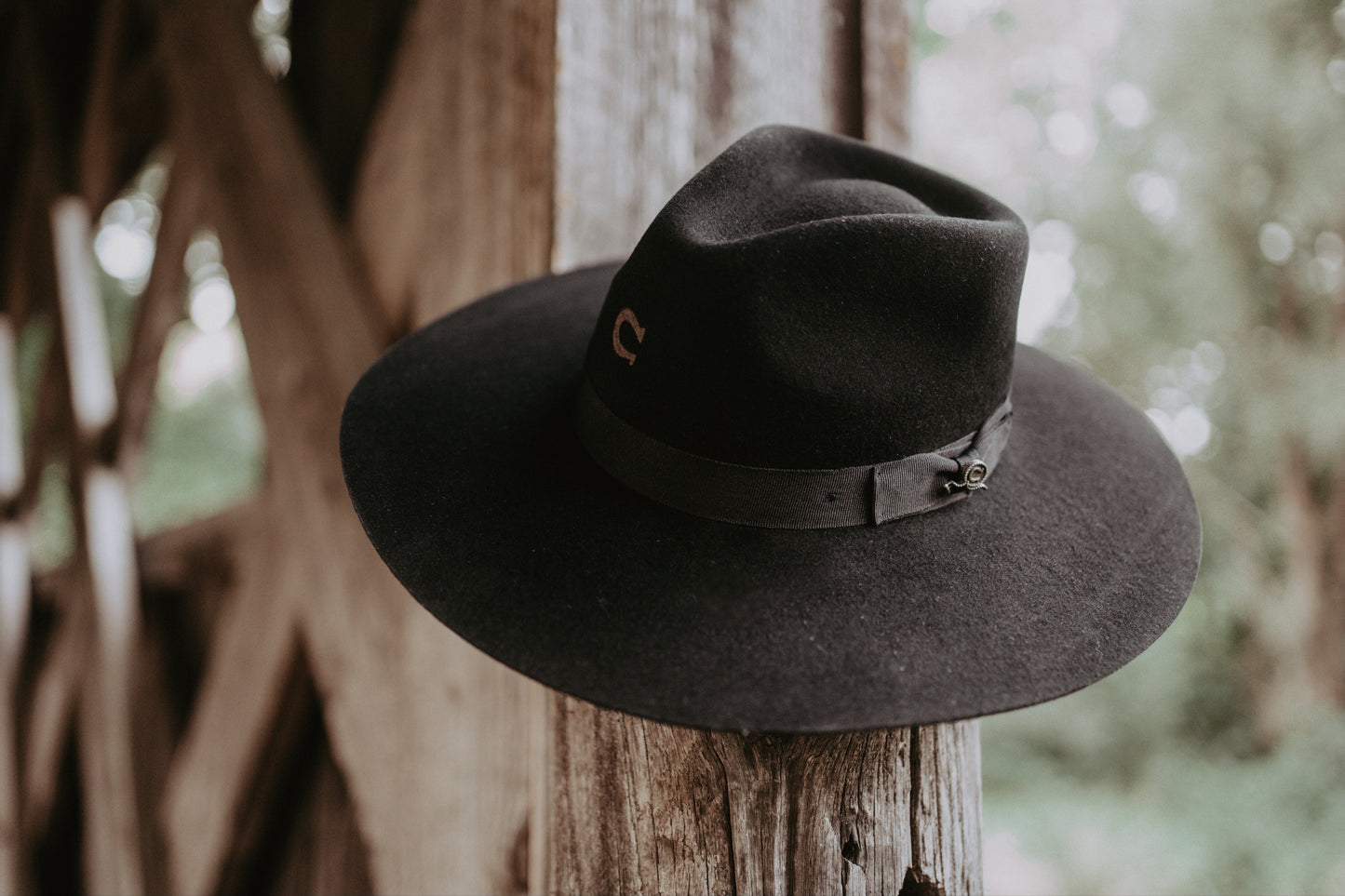 Charlie 1 Horse "Highway" in Black