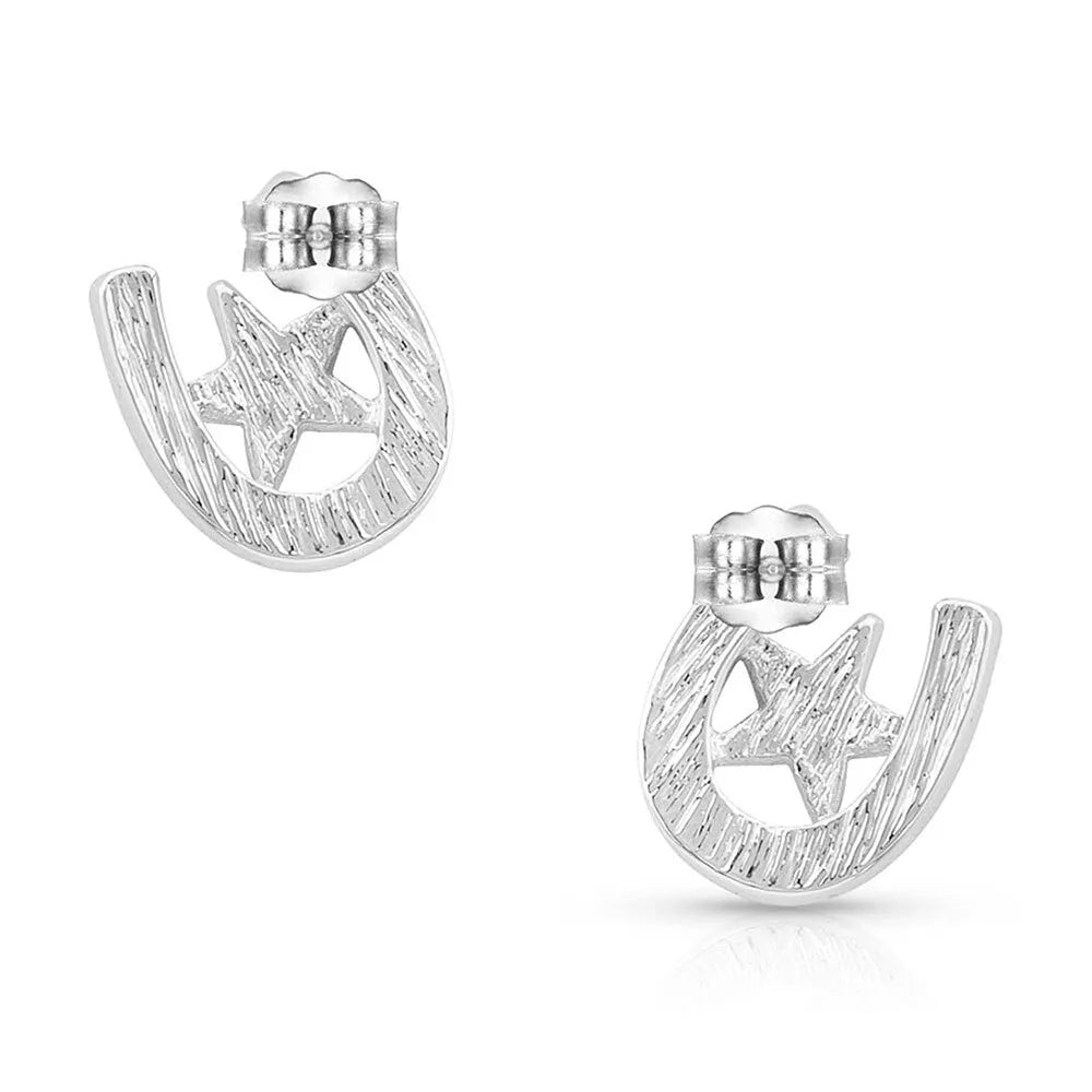 Small Stars & Horseshoe Post Earrings