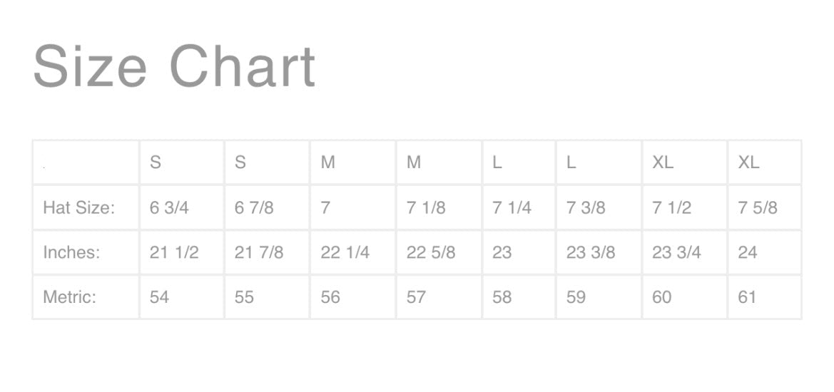 Charlie 1 Horse "Highway" in Gray