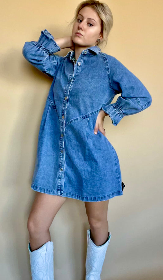 Francis Denim Dress