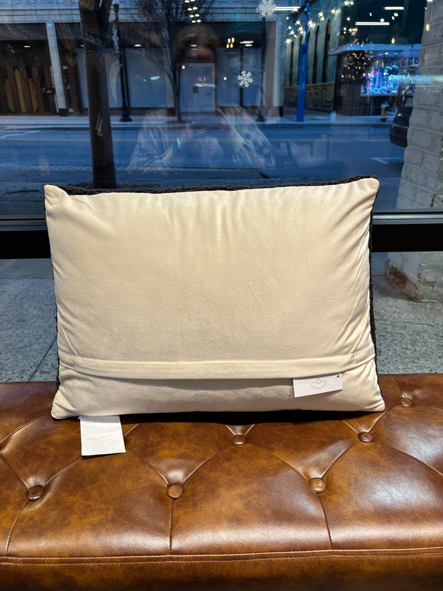 Longhorn & Blue Bonnets Hook Pillow