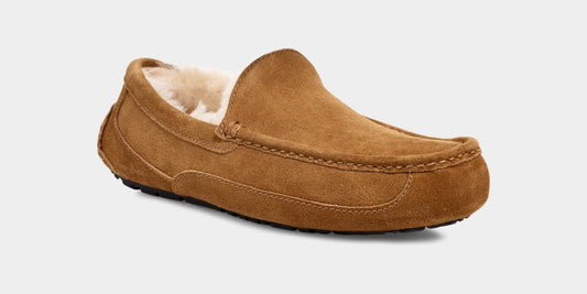 UGG™ Ascot Slipper Chestnut