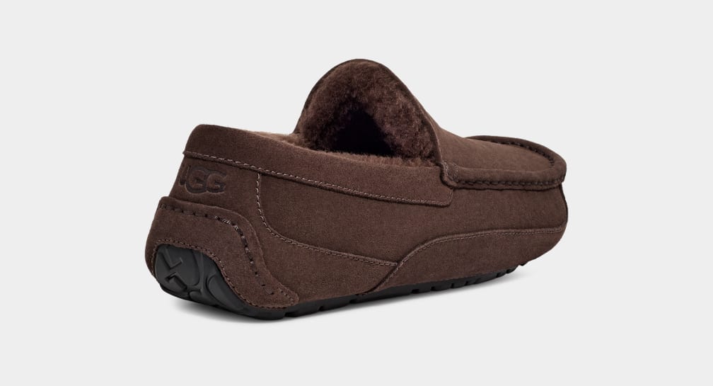 UGG Ascot Slipper Dusted Cocoa Wiseman s Western