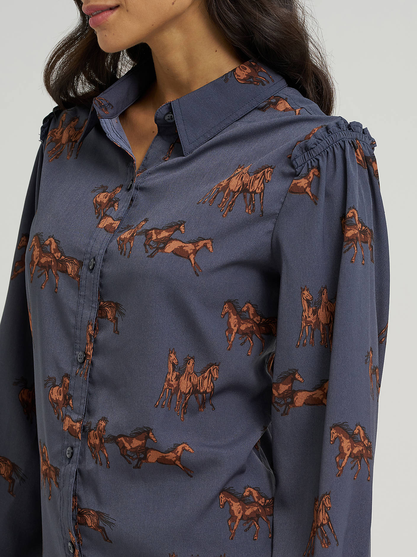 Chiffon Horses Blouse