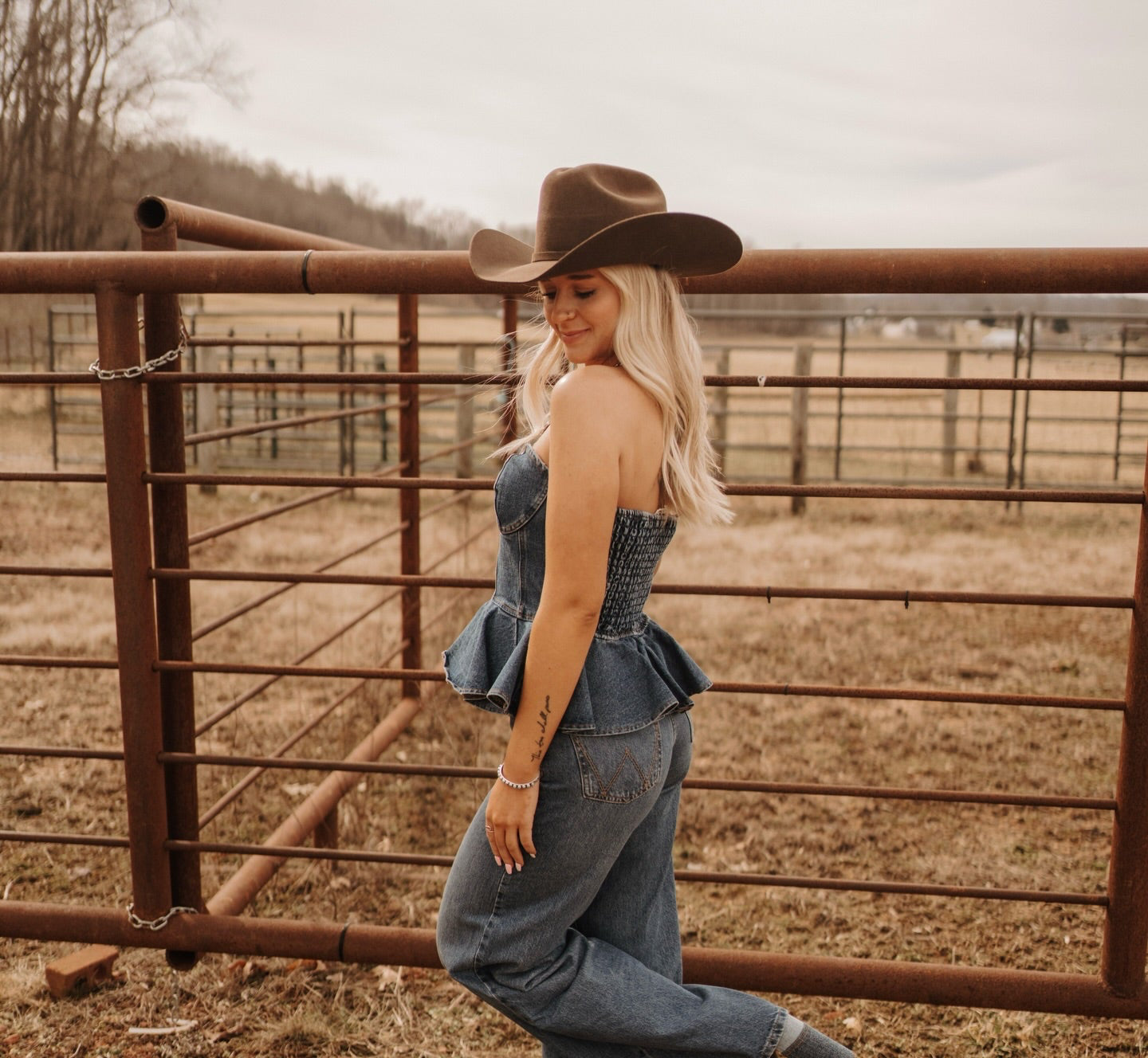 Darling Denim Strapless Bustier Top