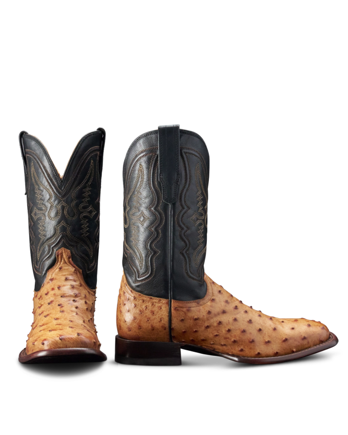 Tecovas The Emmitt II Sunset Midnight Ostrich