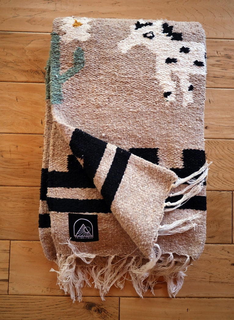 Painted Desert Handwoven Blanket