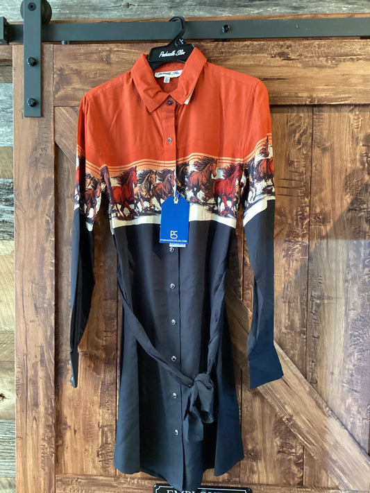 Panhandle Border Dress