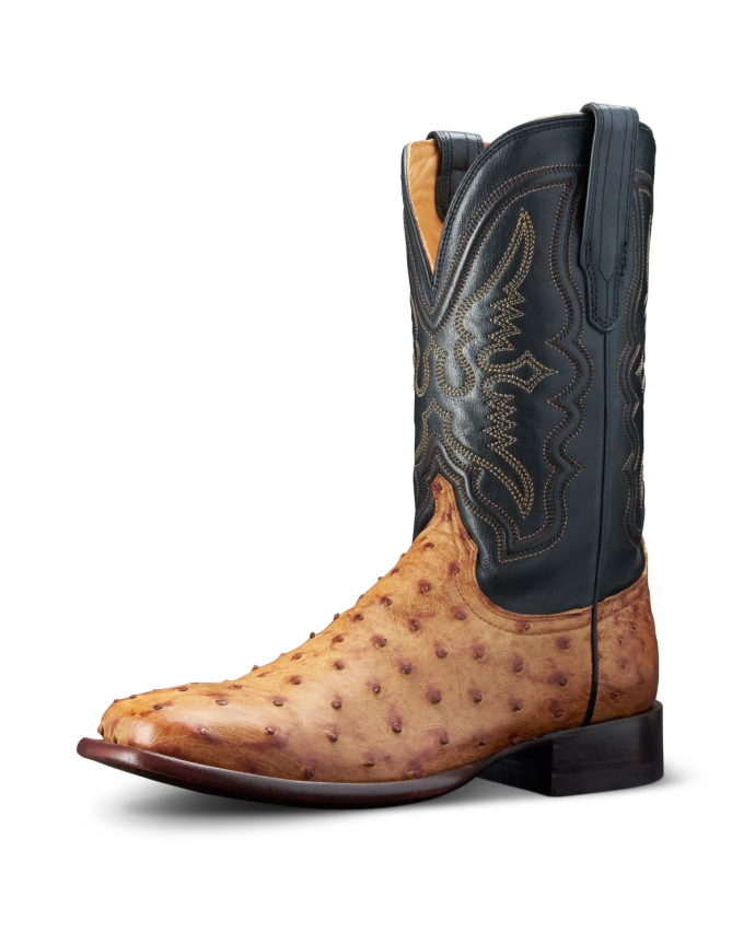 Tecovas The Emmitt II Sunset Midnight Ostrich