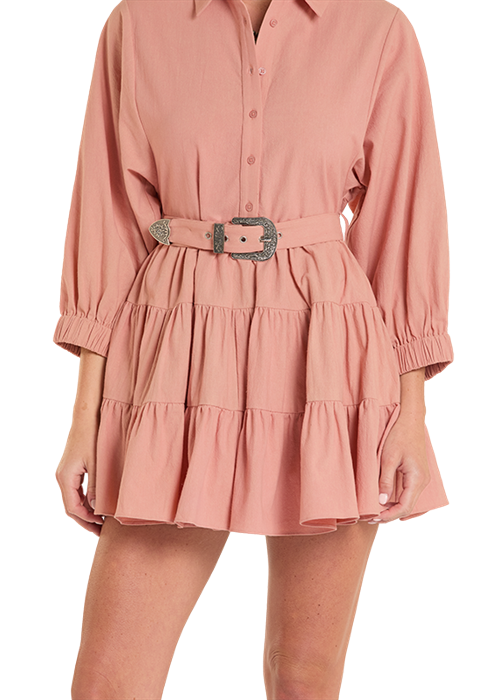 Rose Ruffle Mini Dress