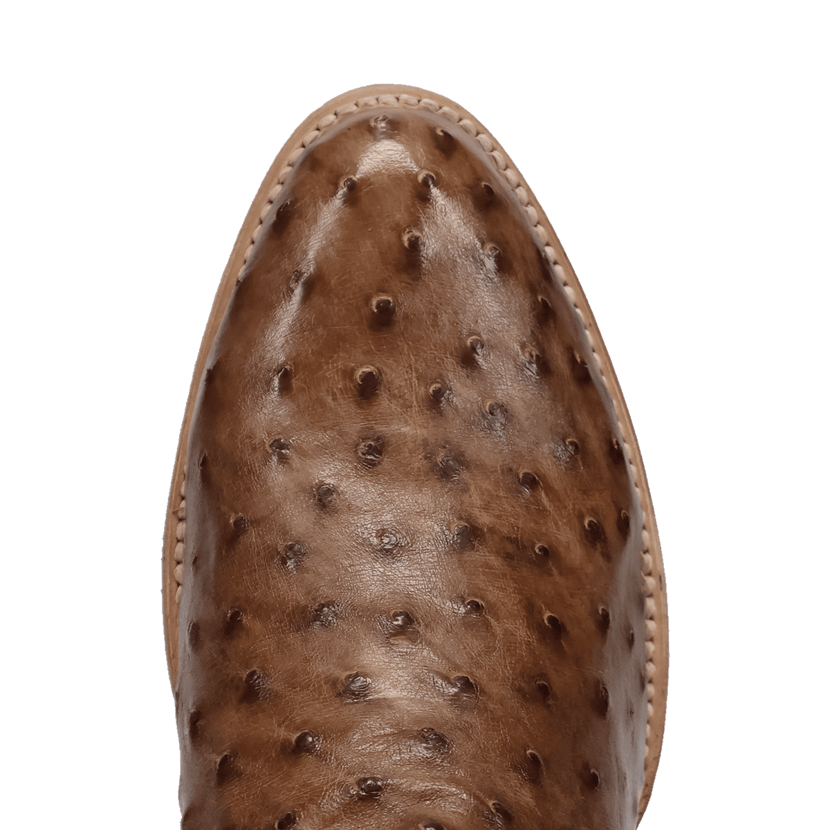 Dan Post Gauge Full Quill Ostrich Boots