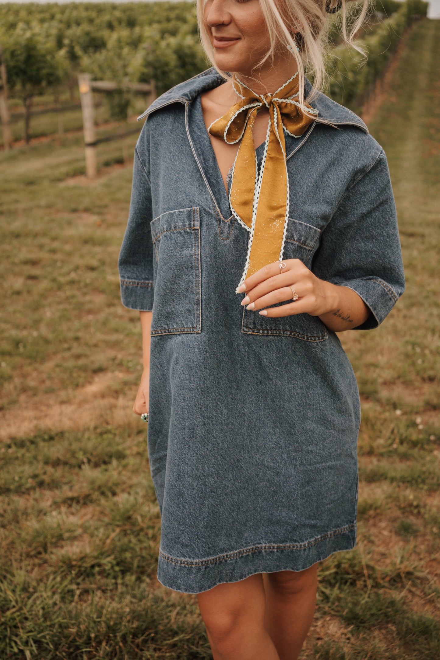 Ava Denim Dress
