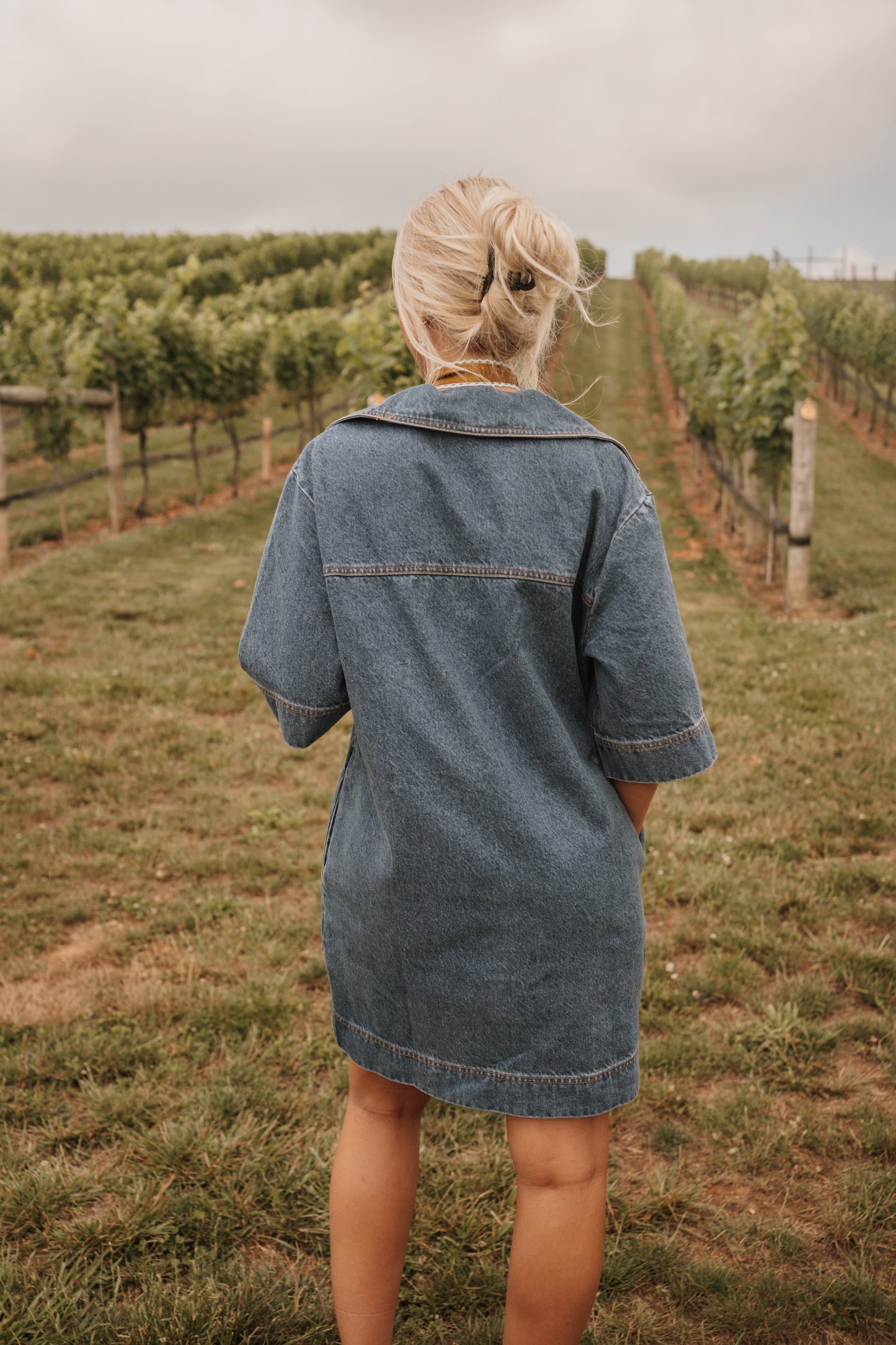 Ava Denim Dress
