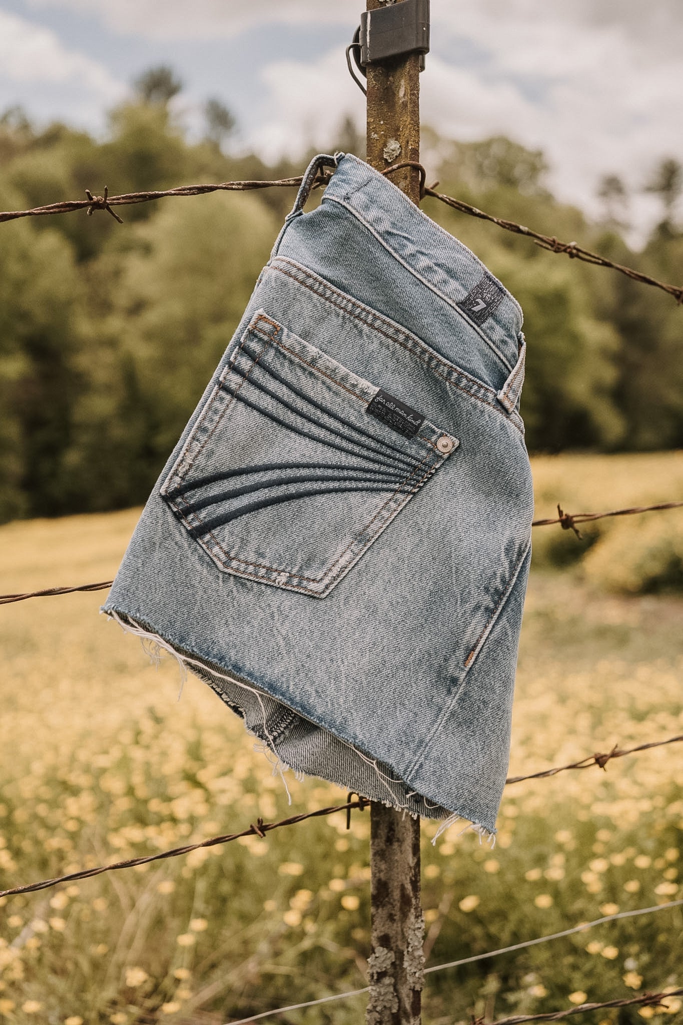 7 for All Mankind June Stampede Shorts