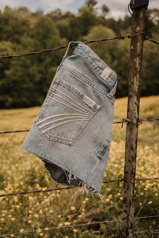 7 for All Mankind June Roundup Shorts