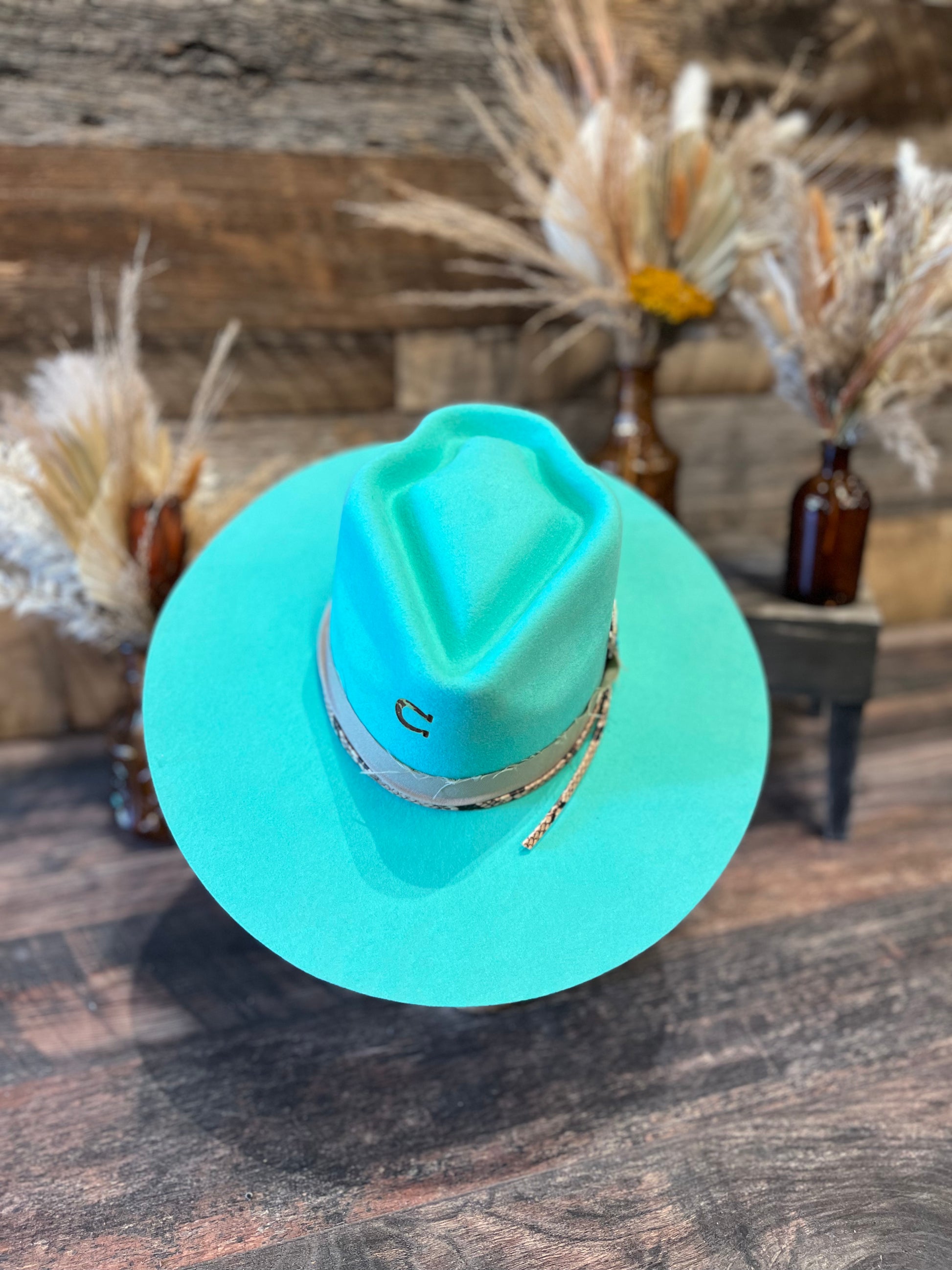 Charlie 1 Horse Spear Point Cowgirl Hat