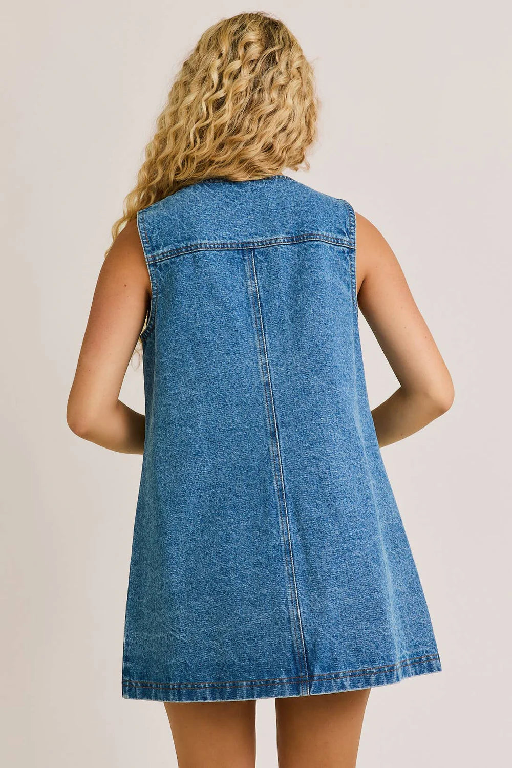 Kennedy Denim Dress