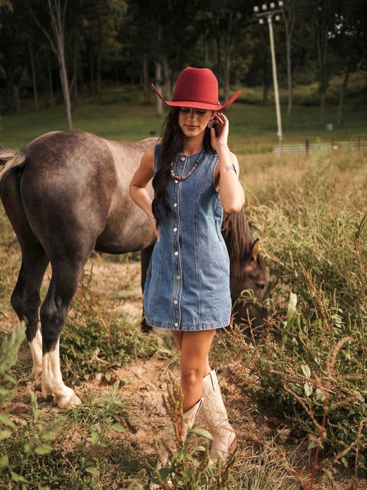 Kennedy Denim Dress