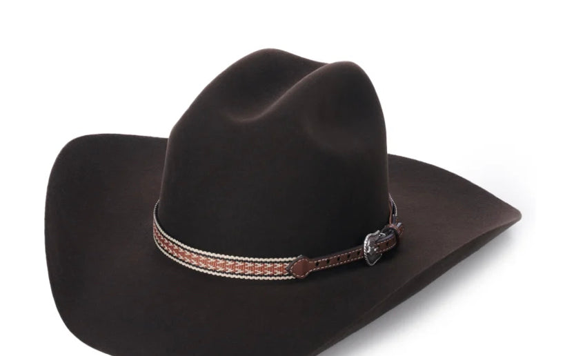 Western Brown Patterned Ribbon Hatband