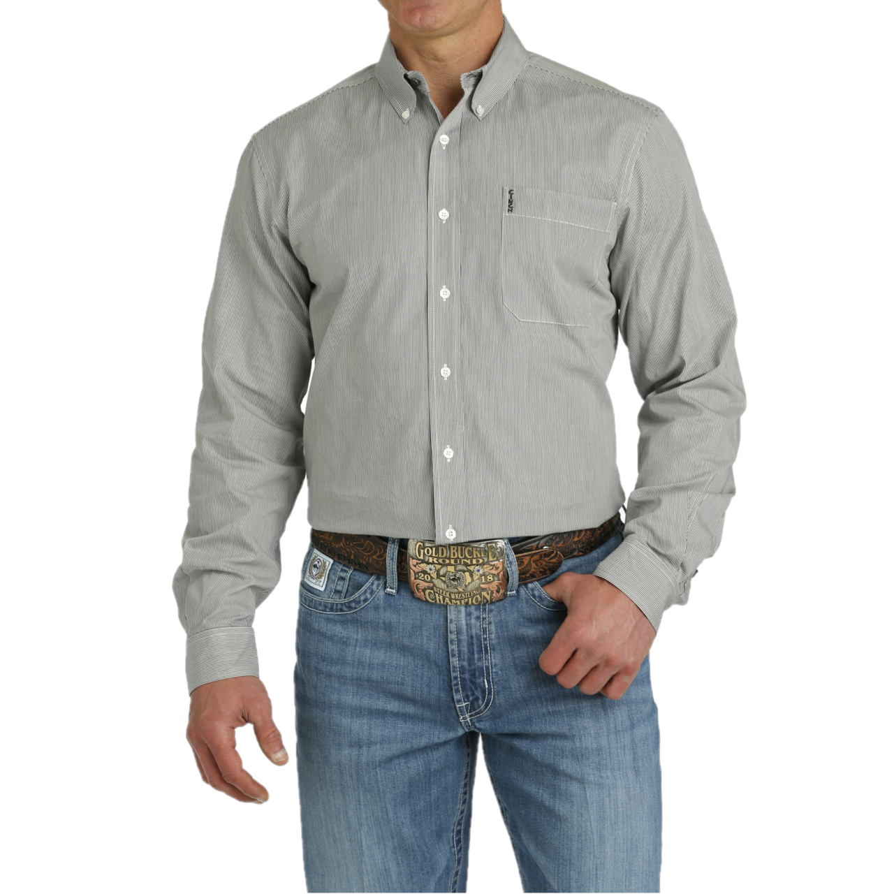 Cinch Pinstripe Button Up