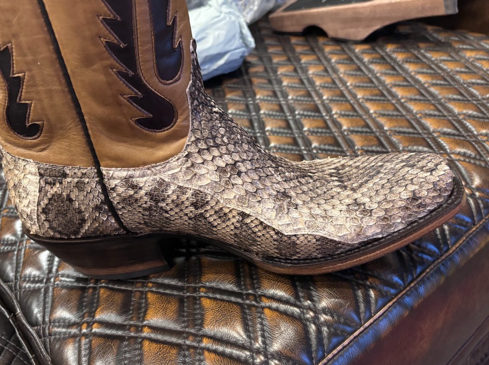 Black Jack Diamondback Rattlesnakes V4
