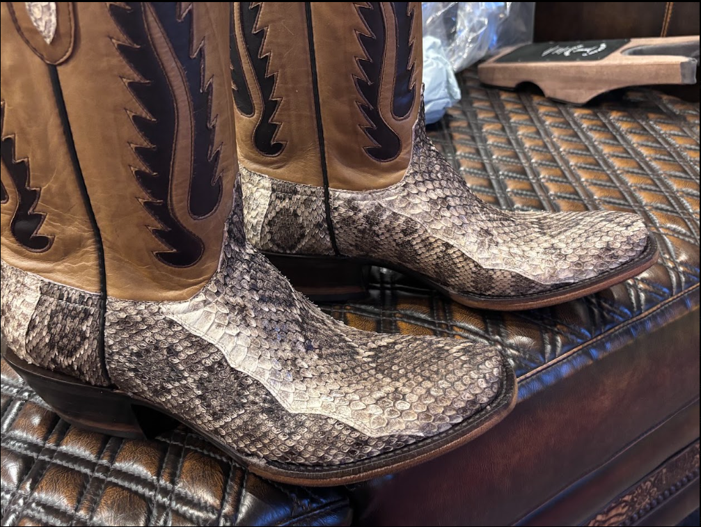 Black Jack Diamondback Rattlesnakes V4