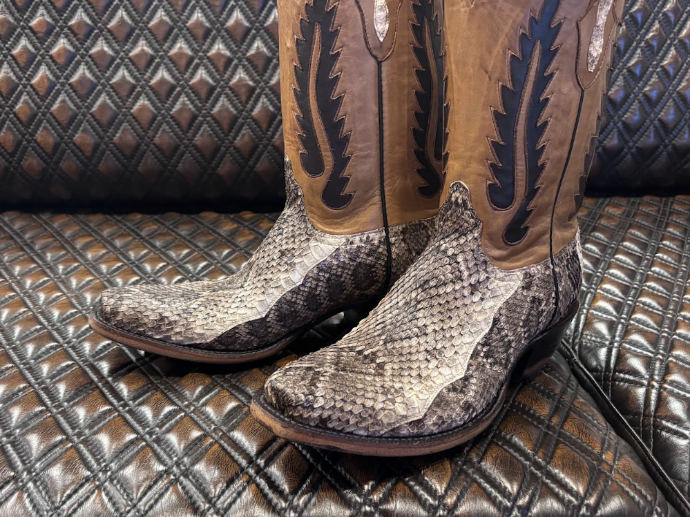 Black Jack Diamondback Rattlesnakes V4